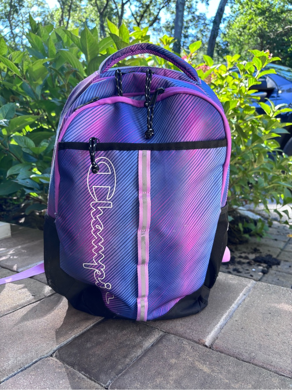 Champion Purple and Pink Ombre Backpack for Men